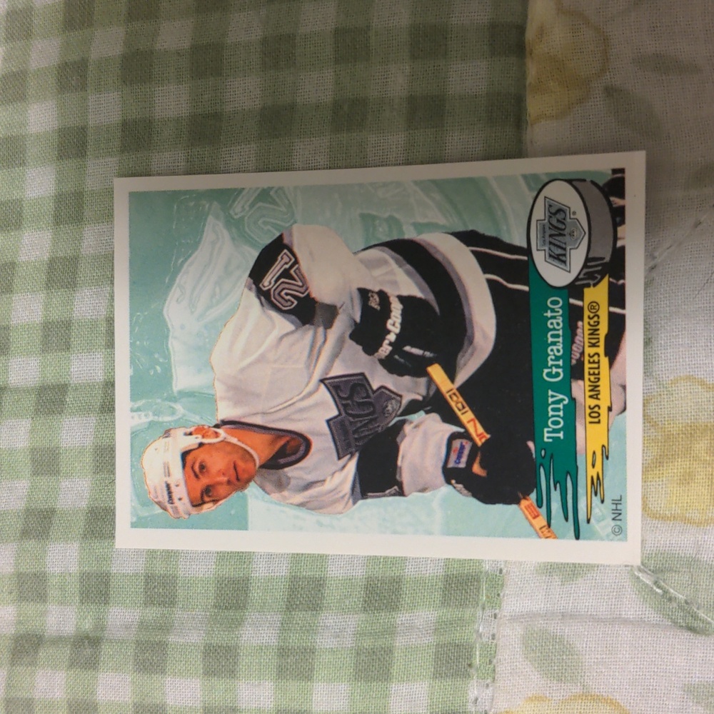 10 for $20 Tony Granato #267 Panini NHL Hockey Sticker 1995-1996